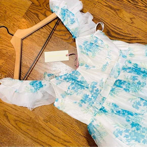 NEW LoveShackFancy Macron Gown Magic Turquoise Floral Gown size 4 - Picture 12 of 14